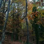 Gospodarstwo wiejskie La Lancha Del Jerte