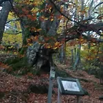 La Lancha Del Jerte El Torno (Extremadura)
