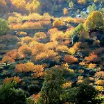 La Lancha Del Jerte El Torno (Extremadura)