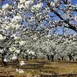 Gospodarstwo wiejskie La Lancha Del Jerte El Torno (Extremadura)