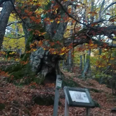 La Lancha Del Jerte El Torno (Extremadura)