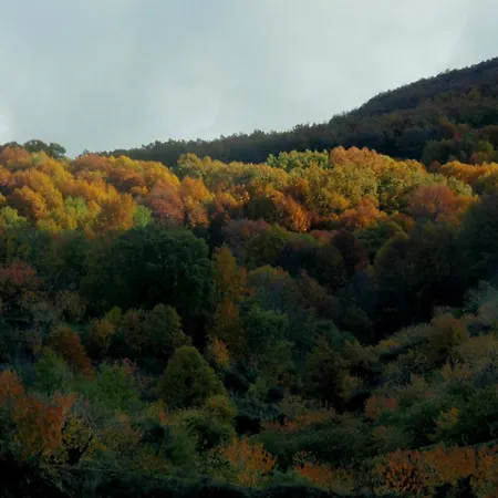 La Lancha Del Jerte *