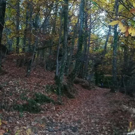 La Lancha Del Jerte Εξοχικό σπίτι El Torno (Extremadura)