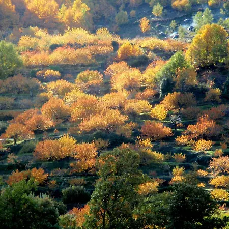 La Lancha Del Jerte El Torno (Extremadura)