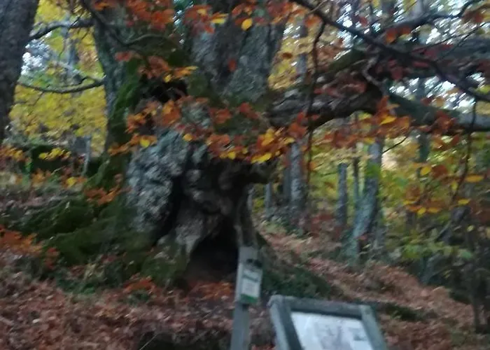 La Lancha Del Jerte El Torno (Extremadura)