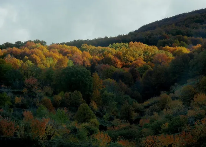 La Lancha Del Jerte *