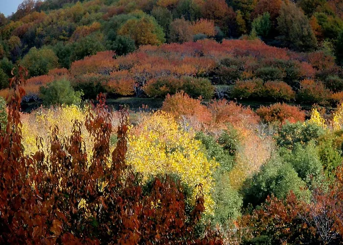 Casa di campagna La Lancha Del Jerte *