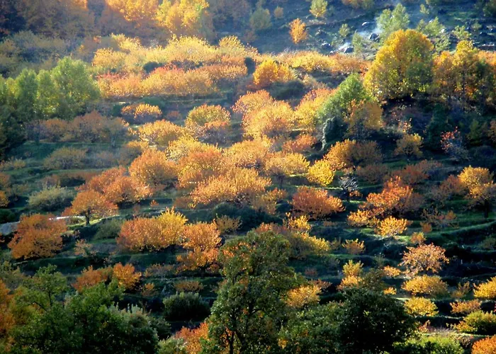 La Lancha Del Jerte El Torno (Extremadura)