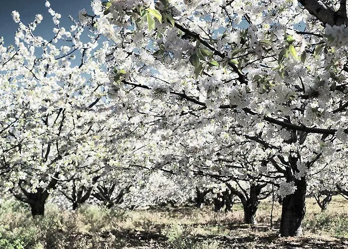 La Lancha Del Jerte Casa di campagna El Torno (Extremadura)