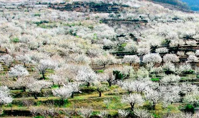 La Lancha Del Jerte Casa di campagna *