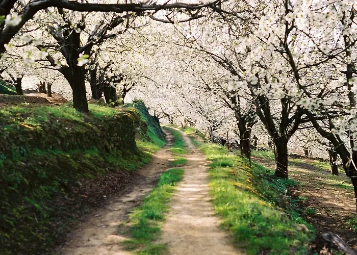 La Lancha Del Jerte * El Torno (Extremadura)