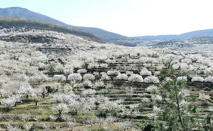 La Lancha Del Jerte Casa di campagna *